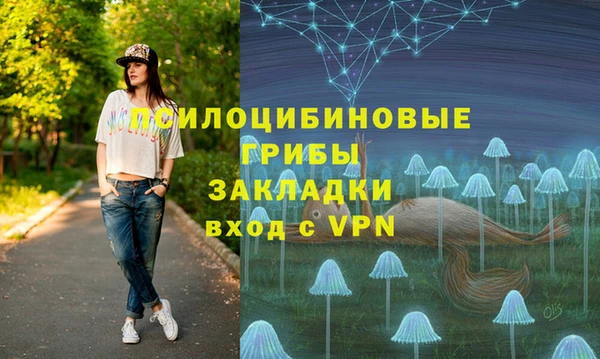 мдпв Балабаново