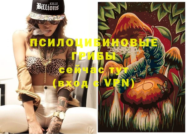 мдпв Балабаново