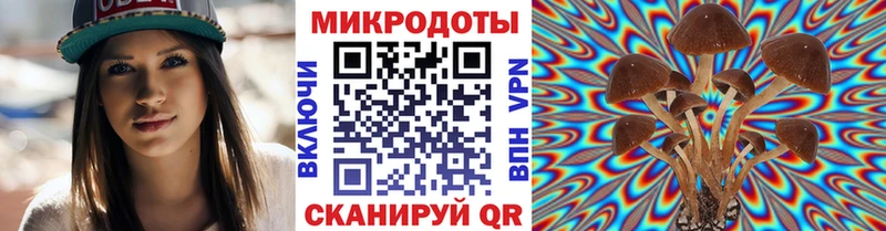 Галлюциногенные грибы Magic Shrooms  цена наркотик  даркнет как зайти  Подпорожье 